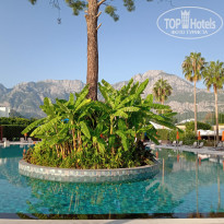 фото из отзыва ID 2567470