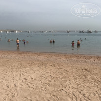 фото из отзыва ID 2567804