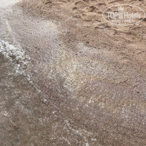 фото из отзыва ID 2567804