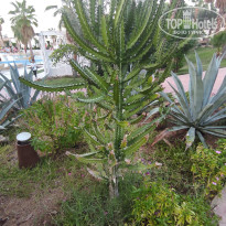 фото из отзыва ID 2567799