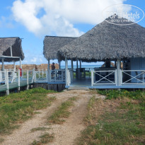 фото из отзыва ID 2567794