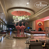 фото из отзыва ID 2567846