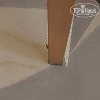 фото из отзыва ID 2567794