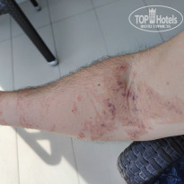 фото из отзыва ID 2567860