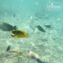 фото из отзыва ID 2567893