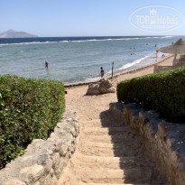 фото из отзыва ID 2567893