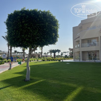 фото из отзыва ID 2567958