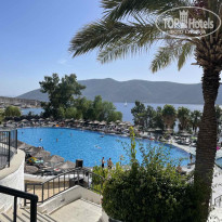 фото из отзыва ID 2567971