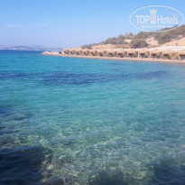 фото из отзыва ID 2567971