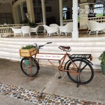 фото из отзыва ID 2567975