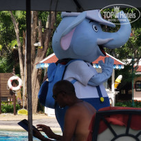 фото из отзыва ID 2567977