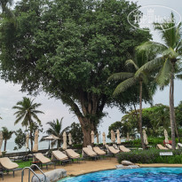 фото из отзыва ID 2567977