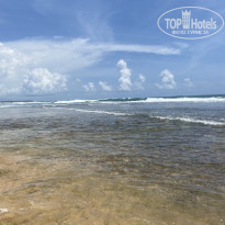 фото из отзыва ID 2568058