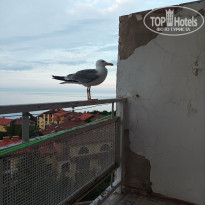 фото из отзыва ID 2568101