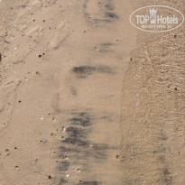 фото из отзыва ID 2567804