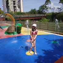 фото из отзыва ID 2568194