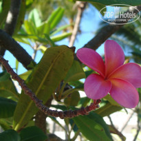 фото из отзыва ID 2568198