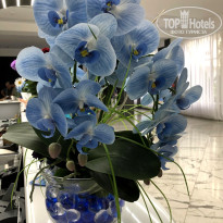 фото из отзыва ID 2568220