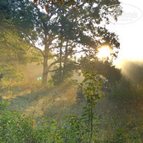 фото из отзыва ID 2568220