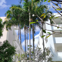 фото из отзыва ID 2568244