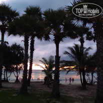 фото из отзыва ID 2568244