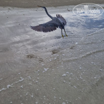 фото из отзыва ID 2568283