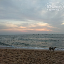 фото из отзыва ID 2568557