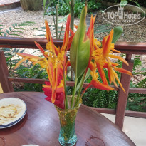 фото из отзыва ID 2568611