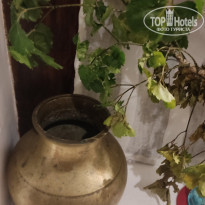 фото из отзыва ID 2568611