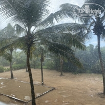 фото из отзыва ID 2568633