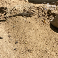 фото из отзыва ID 2568633