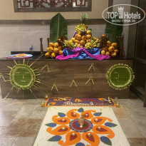 фото из отзыва ID 2568633