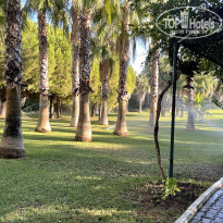 фото из отзыва ID 2568656