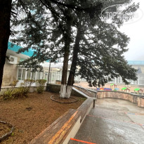 фото из отзыва ID 2568722