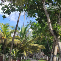 фото из отзыва ID 2568733