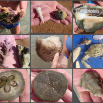 фото из отзыва ID 2568745