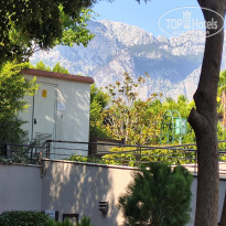 фото из отзыва ID 2568978