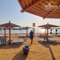 фото из отзыва ID 2569000