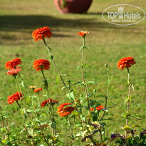 фото из отзыва ID 2569003