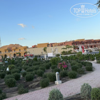 фото из отзыва ID 2569018