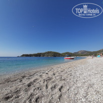 фото из отзыва ID 2569098