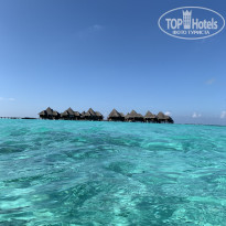 фото из отзыва ID 2569185