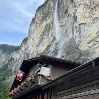 фото из отзыва ID 2569331