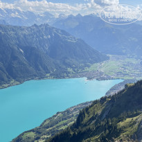 фото из отзыва ID 2569331