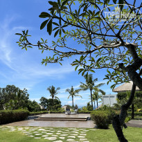 фото из отзыва ID 2569335