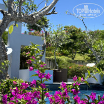 фото из отзыва ID 2569335