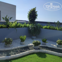 фото из отзыва ID 2569340