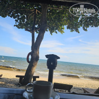 фото из отзыва ID 2569343