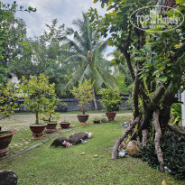 фото из отзыва ID 2569343