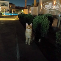 фото из отзыва ID 2569368